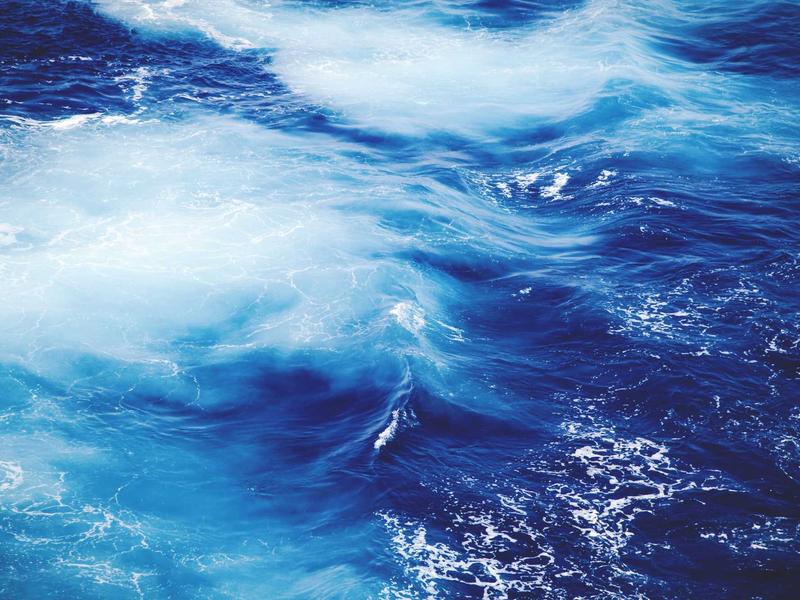 feedback screenshot 2